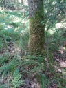 junioreiche3_Easy-Resize.com_.jpg