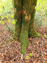 Webseiteder-Schuppige-13_Easy-Resize.com_.jpg