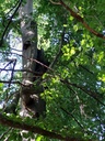 Paradiesvogel-2_Easy-Resize.com_.jpg