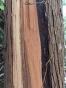 Schnuderbeeri-3_Easy-Resize.com_.jpg