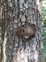 Aeuglieiche-7_Easy-Resize.com_.jpg