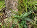 Fenster-nach-Norden_4_1500px.jpg
