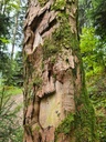 Fenster-nach-Norden_5_1500px.jpg