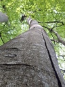 Baltasar-Webpage-2-scaled.jpg