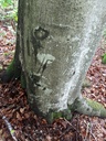 Baltasar-Webpage-3-scaled.jpg
