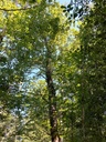 Lochahorn-6_Easy-Resize.com_.jpg