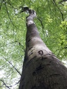 Baltasar-Webpage-4-scaled.jpg