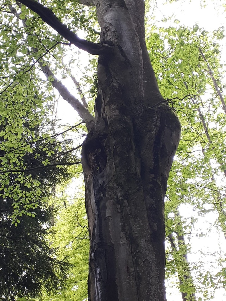 Ueli-und-Anneliese-Heer-2-scaled.jpg
