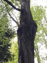 Ueli-und-Anneliese-Heer-2-scaled.jpg