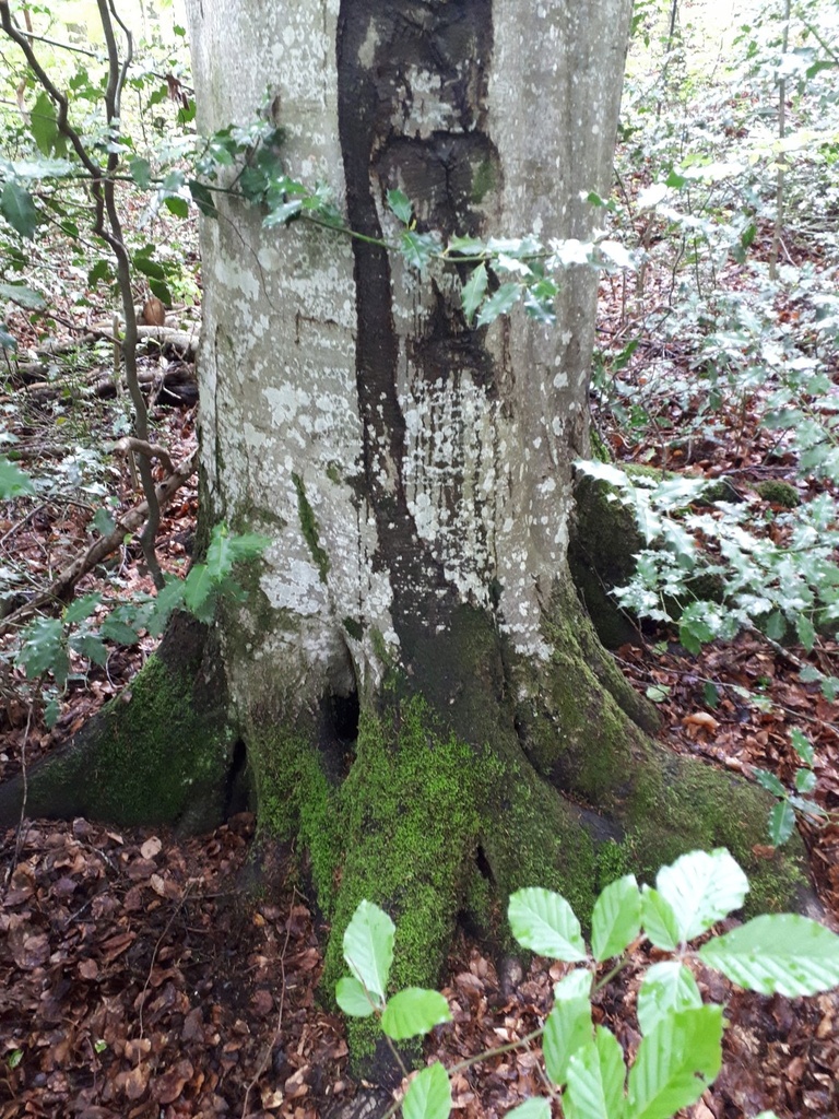 Ueli-und-Anneliese-Heer-4-scaled.jpg