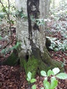 Ueli-und-Anneliese-Heer-4-scaled.jpg