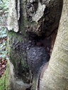 Ueli-und-Anneliese-Heer-5-scaled.jpg