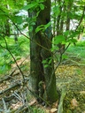 659222004-6_Easy-Resize.com_.jpg