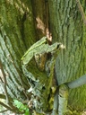 659222004-8_Easy-Resize.com_.jpg
