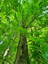 659222004-11_Easy-Resize.com_.jpg