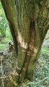 659222006-6_Easy-Resize.com_.jpg