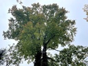 IMG_6467Der-Stattliche-webpage-4-scaled.jpg