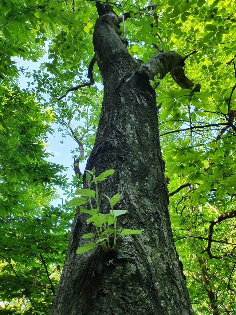 659222001-3_Easy-Resize.com_.jpg