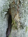 659222001-5_Easy-Resize.com_.jpg