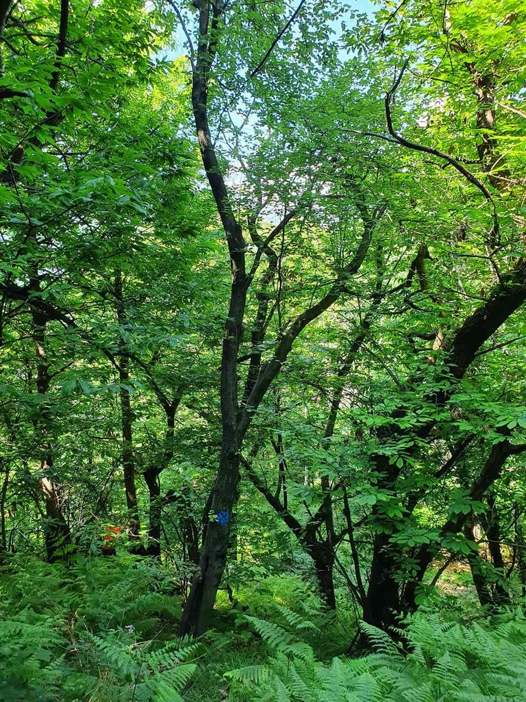 659222001-7_Easy-Resize.com_.jpg