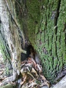 659222003-4_Easy-Resize.com_.jpg