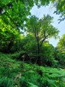 659222003-10_Easy-Resize.com_.jpg