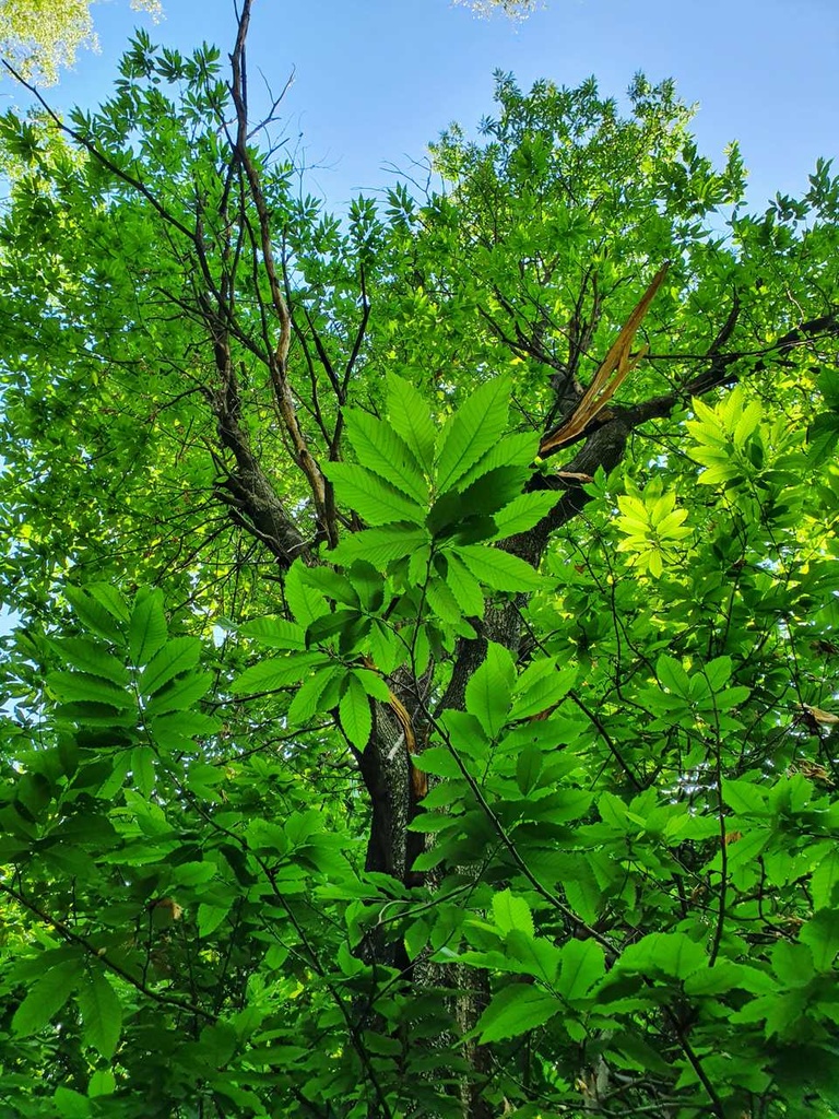 659222003-13_Easy-Resize.com_.jpg