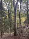IMG_6436Die-Erhabene-Webpage-3-scaled.jpg