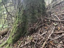IMG_6436Die-Erhabene-Webpage-4-scaled.jpg
