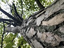 Die-Diva-webpage-3-scaled.jpg