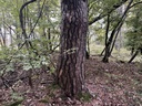 Die-Diva-webpage-4-scaled.jpg