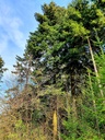 Webseite-die-Wimmerige-7_Easy-Resize.com_.jpg