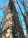 IMG_20220114_141208-Hera-3-scaled.jpg
