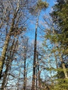 IMG_20220114_141208-Hera-4-scaled.jpg