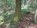 Fjalar-Kirsche-Webpage-2-scaled.jpg