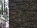 Fjalar-Kirsche-Webpage-3-scaled.jpg