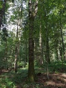 Fjalar-Kirsche-Webpage-4-scaled.jpg