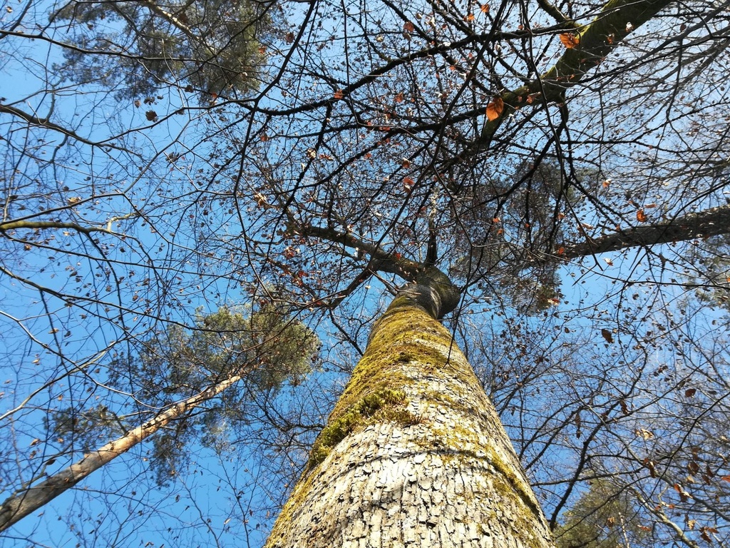 Rumpelstilzchen-2-scaled.jpg