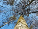 Rumpelstilzchen-2-scaled.jpg
