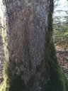 Rumpelstilzchen-3-scaled.jpg