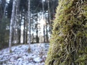 IMG_20220114_121517-1-2-Fleckchen-5-scaled.jpg