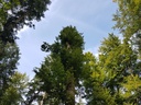 Hudelwaetter-Buche-Webpage-3-scaled.jpg