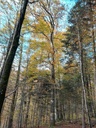 IMG_20211104_144327-Die-Standhafte-5-scaled.jpg