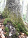 Friedrich-Ramseier-4-scaled.jpg