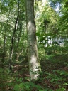 Aruba-Buche-webpage-2-scaled.jpg
