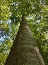 Aruba-Buche-webpage-3-scaled.jpg