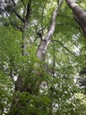 Kaspar-2-scaled.jpg