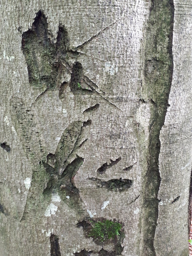 Kaspar-3-scaled.jpg