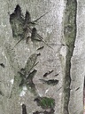 Kaspar-3-scaled.jpg