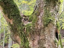 IMG_6452Tafelfresser-Webpage-3-scaled.jpg